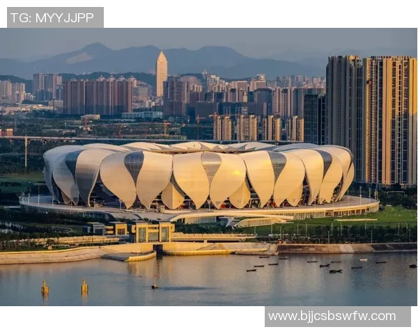 杭州排球队阵地战分析：优劣势与未来发展方向探讨