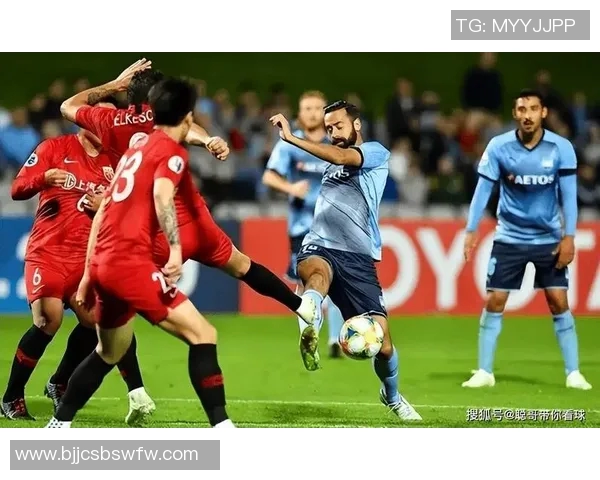 惠灵顿凤凰迎战纽卡斯托期待激烈对决与精彩瞬间